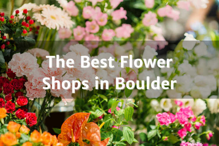 Best Flower Shops in Boulder Your Boulder