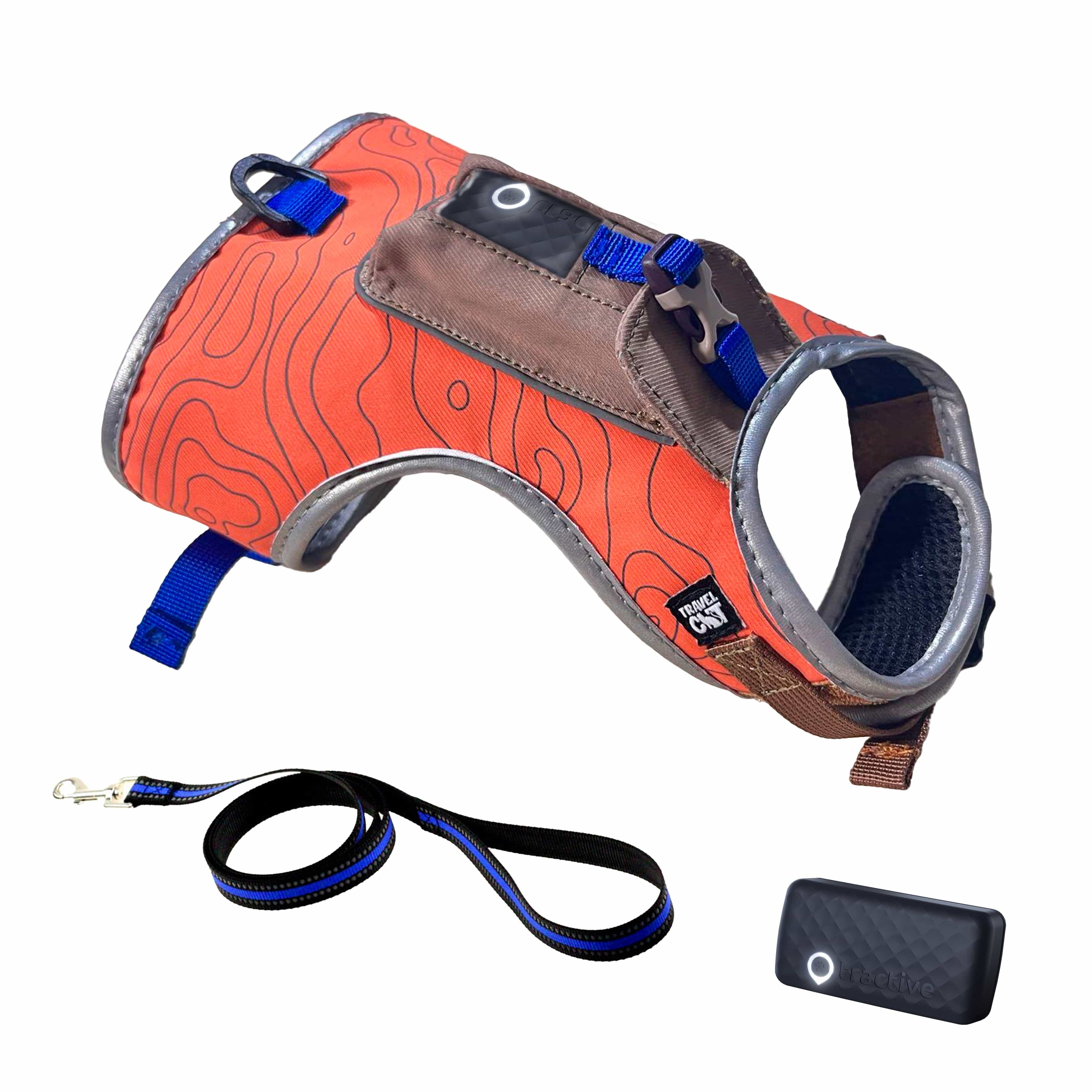 The Best Cat and Kitten Harnesses & Leashes