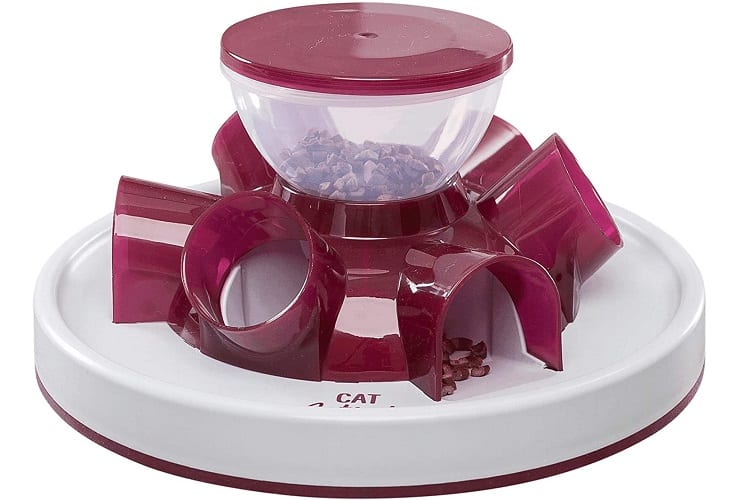 Best Cat Slow Feeder For 2020 YourCatGal