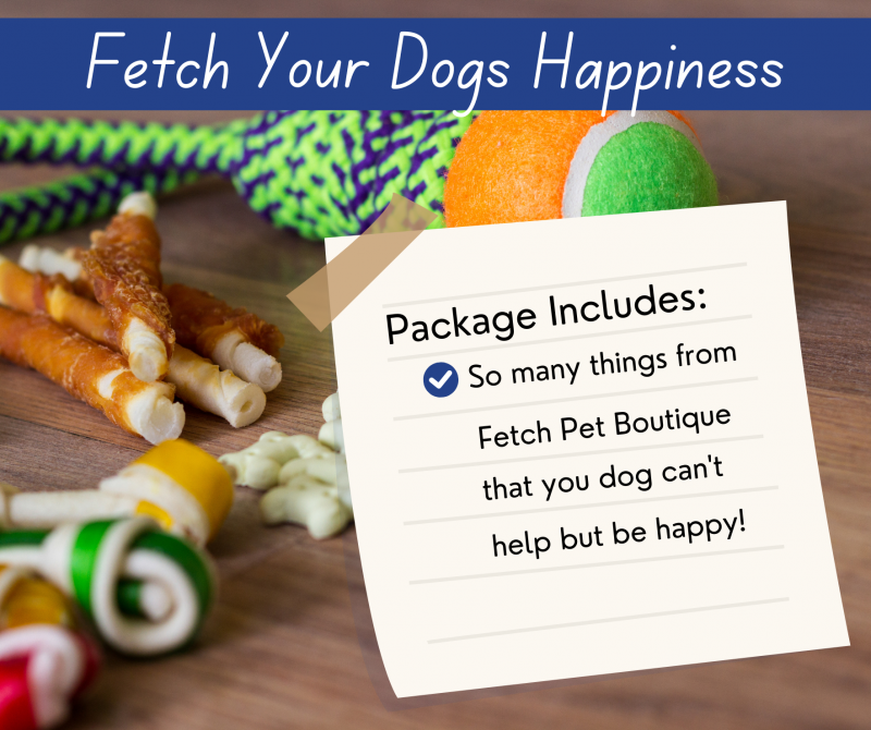 Great Falls Animal Shelter