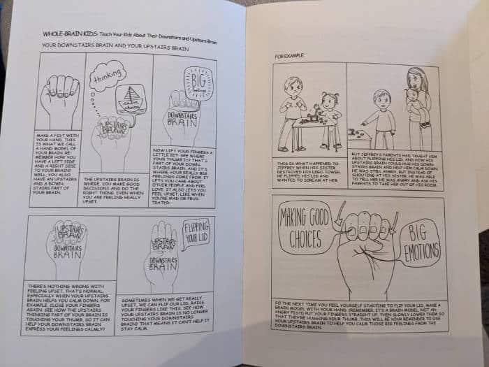 The Whole Brain Child Book Review