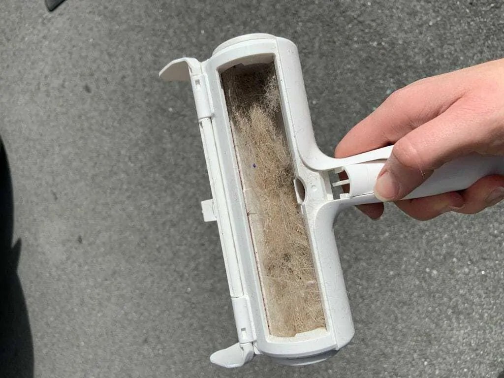 The Best Dog Hair Remover Best Pet Hair Removal Tools Reviewed Your Dog Advisor