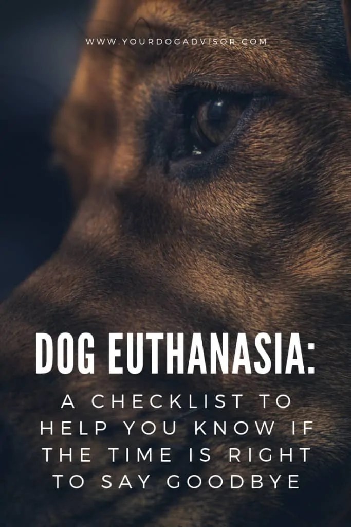 Dog Euthanasia a Checklist to Help You Know If the Time Is Right to