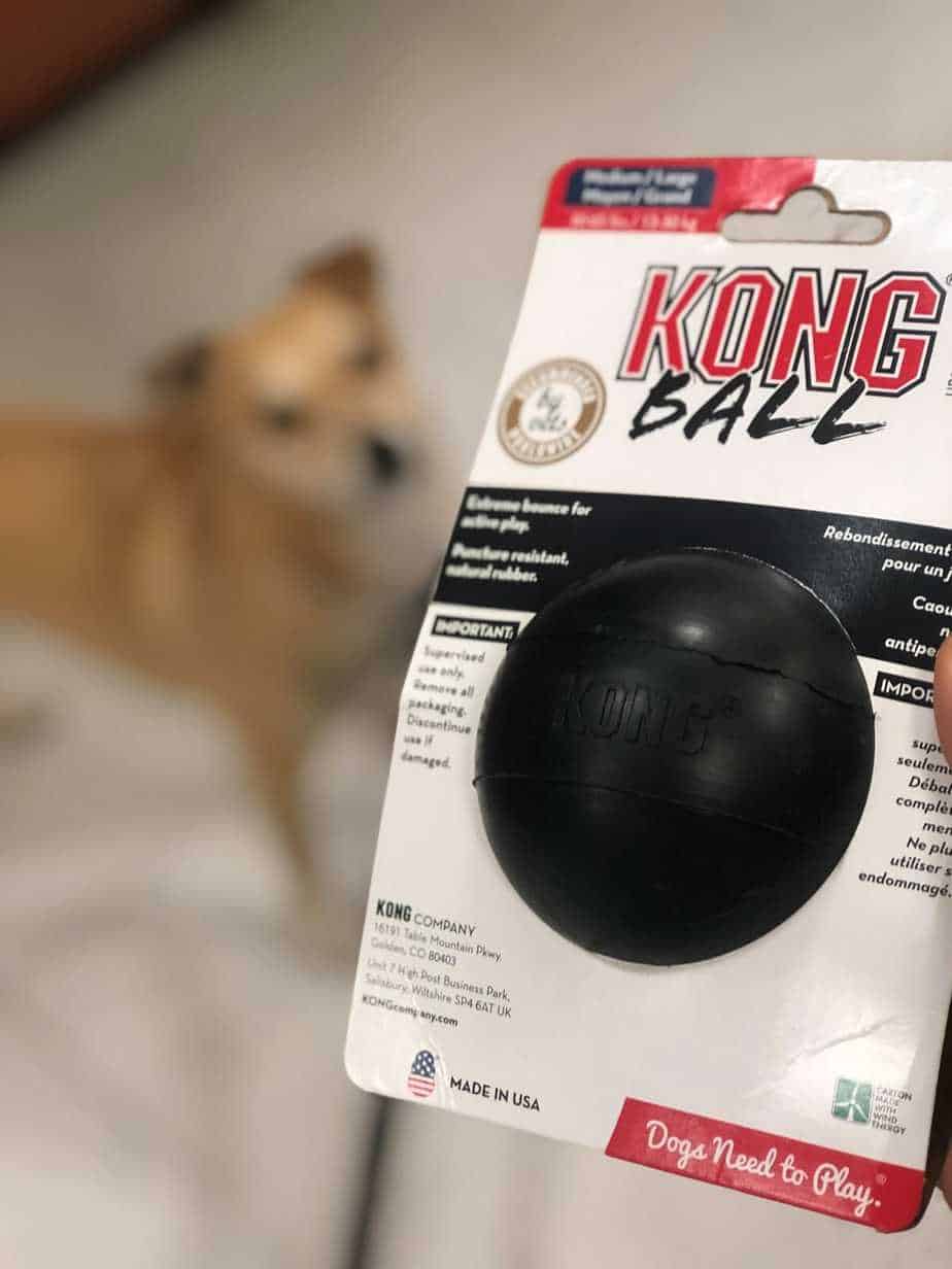 Best Tennis Ball Alternatives for Your Dog Your Dog Advisor