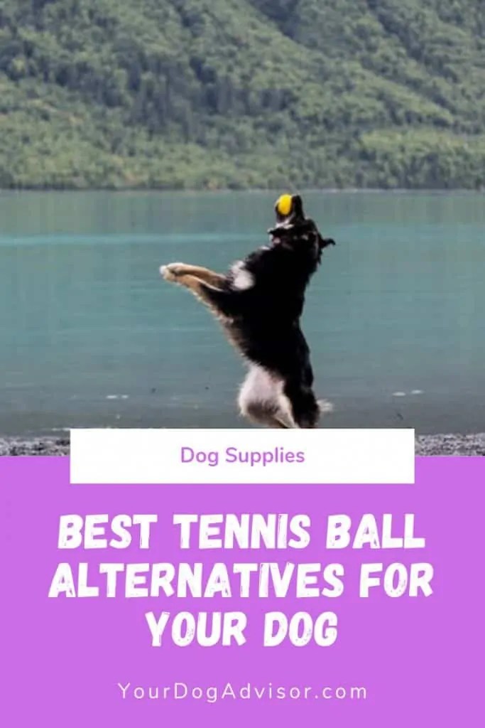 Best Tennis Ball Alternatives for Your Dog Your Dog Advisor