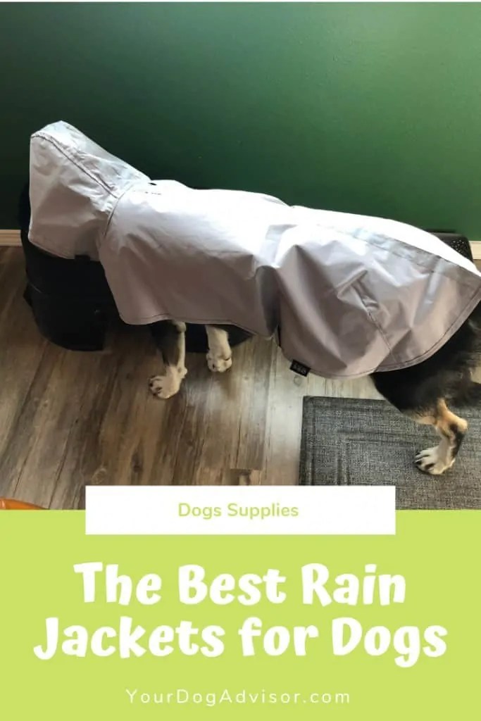 The Best Rain Jackets for Dogs Your Dog Advisor