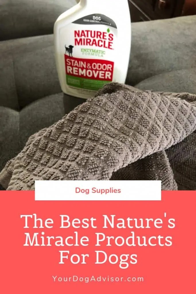 The Best Nature’s Miracle Products for Dogs Your Dog Advisor