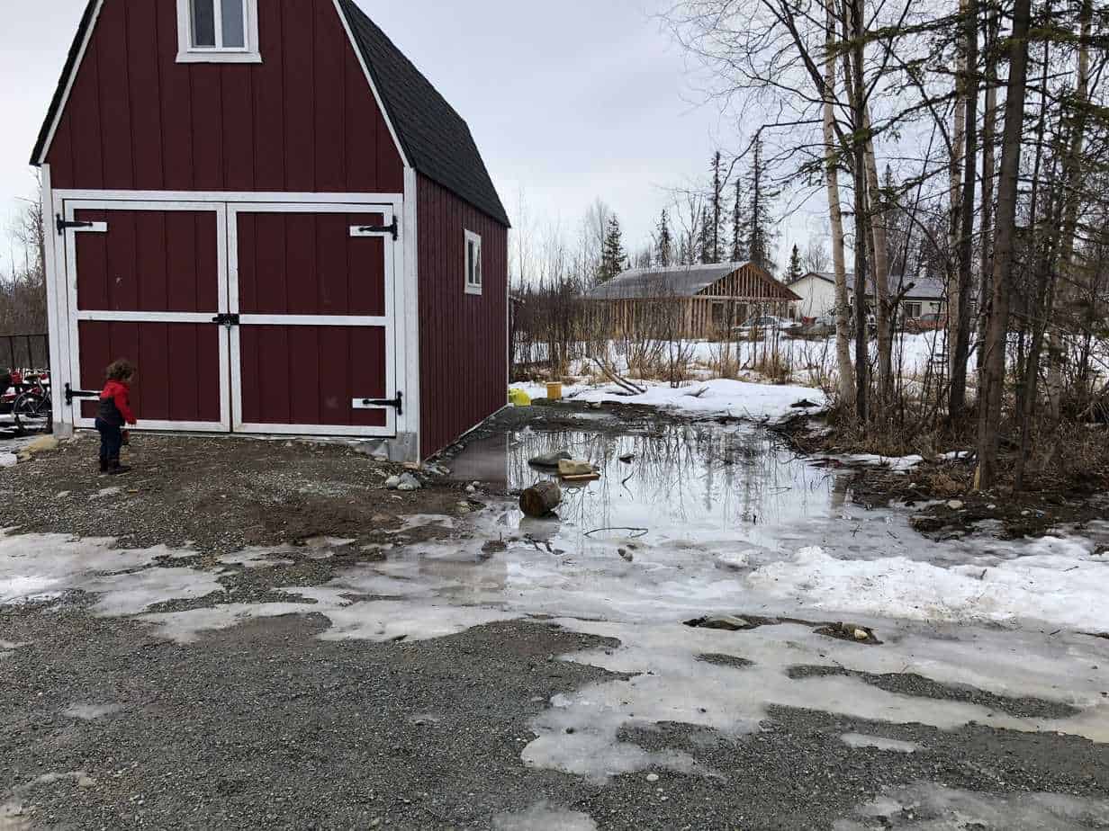 Dexas Mudbuster Portable Dog Paw Cleaner Review Your Dog Advisor