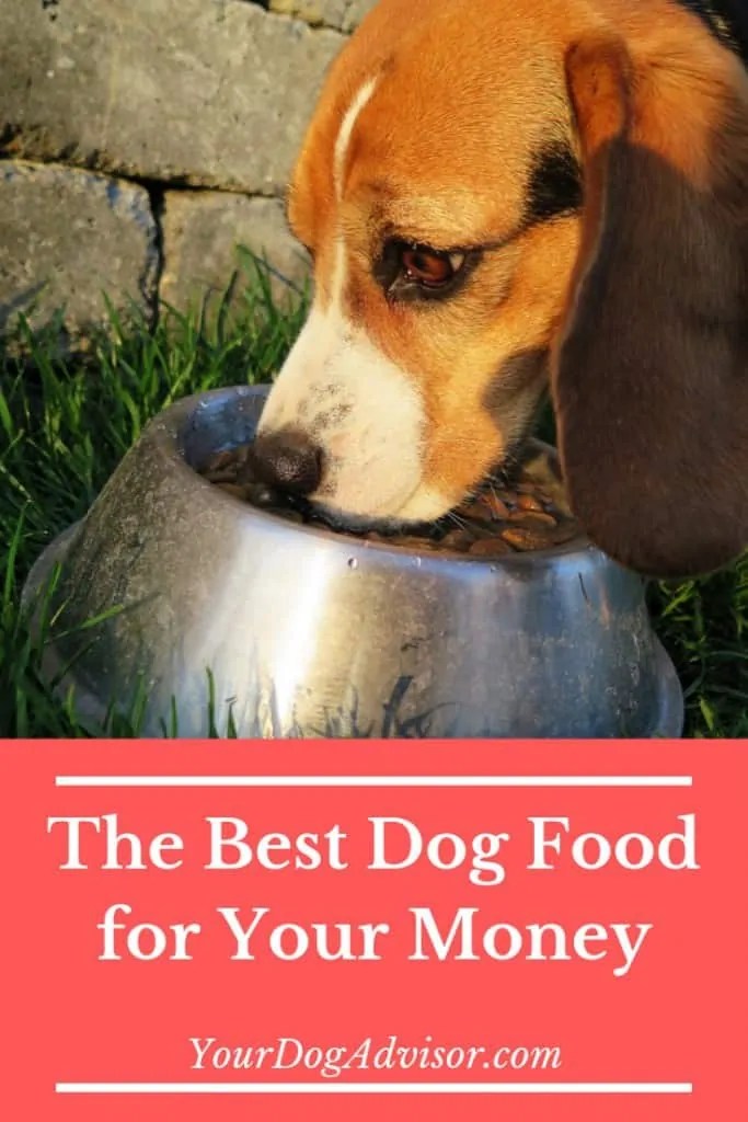 The Best Cheap Dog Food Your Dog Advisor