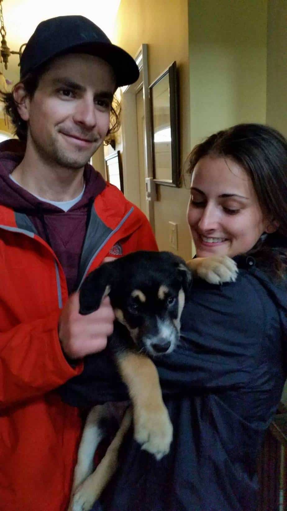 what does it cost to adopt a dog from villalobos Meldrum Sentwo1957