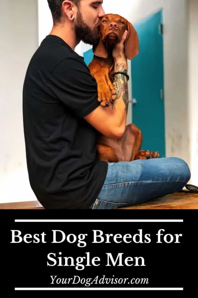 Best Dog for Single Men Your Dog Advisor