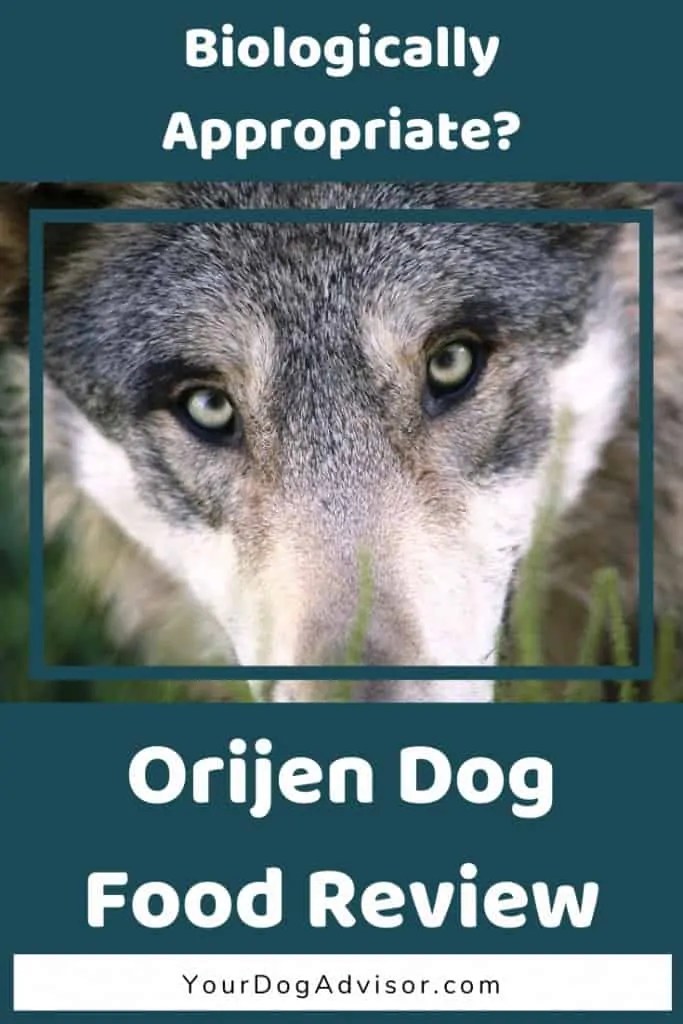 Orijen Dog Food Review Your Dog Advisor