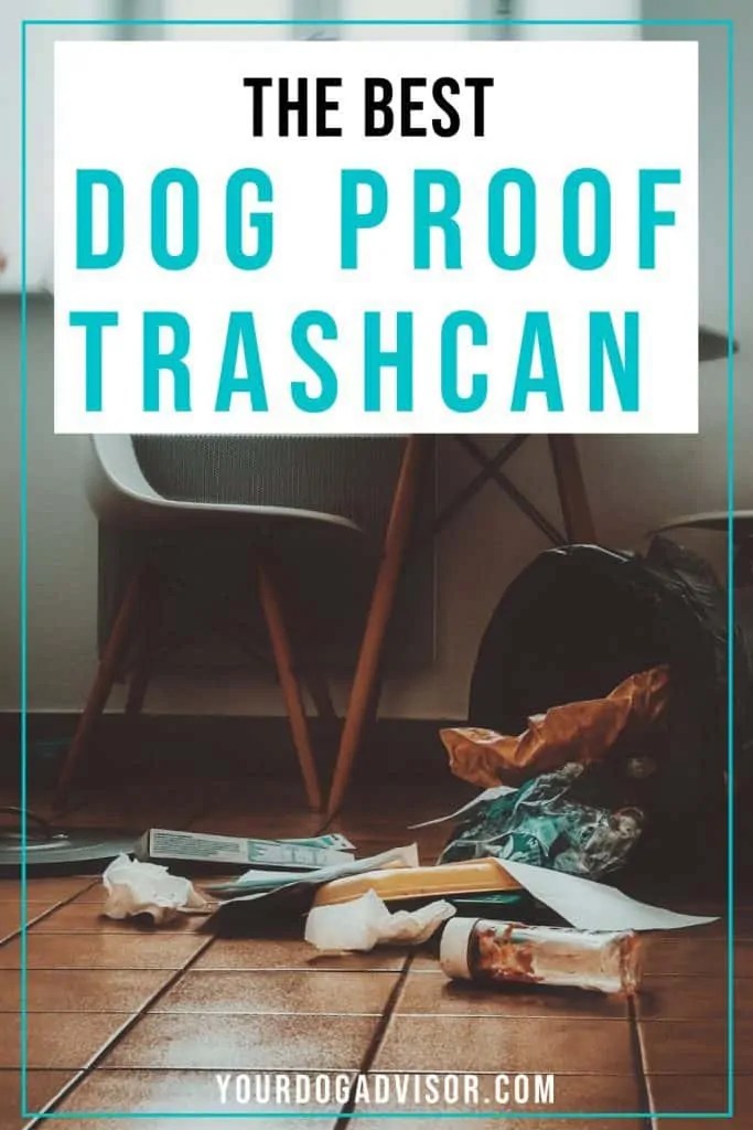 The Best Dog Proof Trash Can Your Dog Advisor