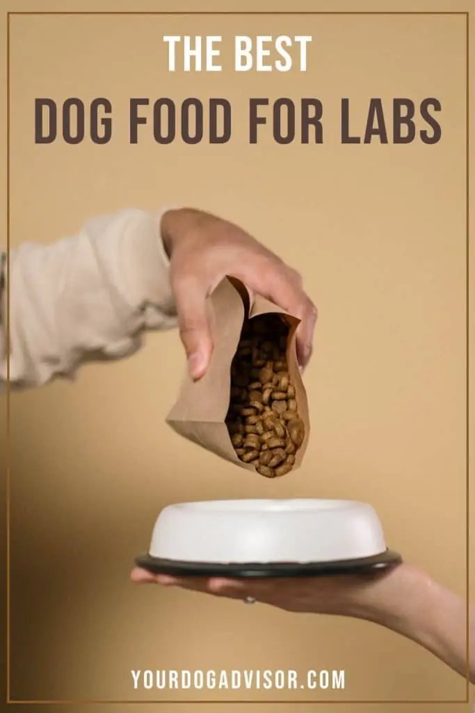 The Best Dog Food For Labs The Important Role Diet Plays in your Labrador’s Health Your Dog