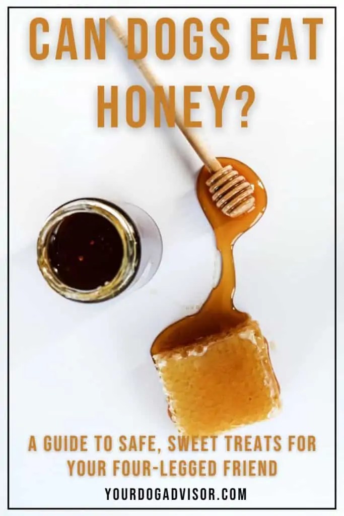 Can Dogs Eat Honey? A Guide To Safe, Sweet Treats For your FourLegged