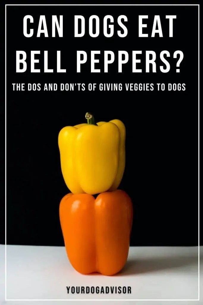 Can Dogs Eat Bell Peppers? The Dos And Don’ts Of Giving Veggies To Dogs