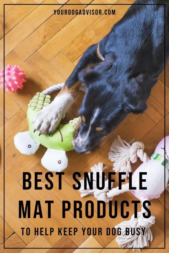 Best Snuffle Mat Products To Help Keep Your Dog Busy Your Dog Advisor