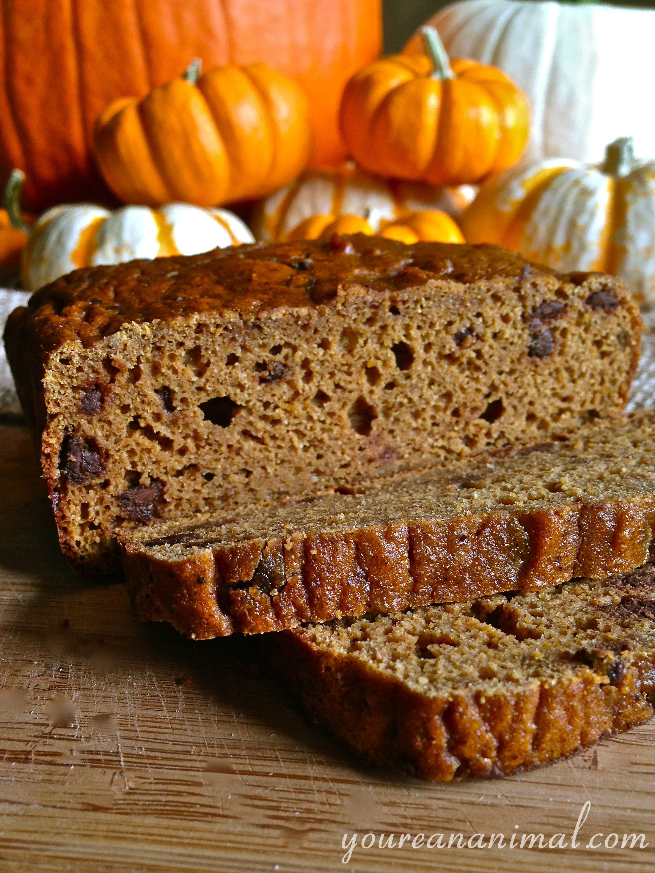 Pumpkin Bread (GrainFree, NutFree) Nourish Wild