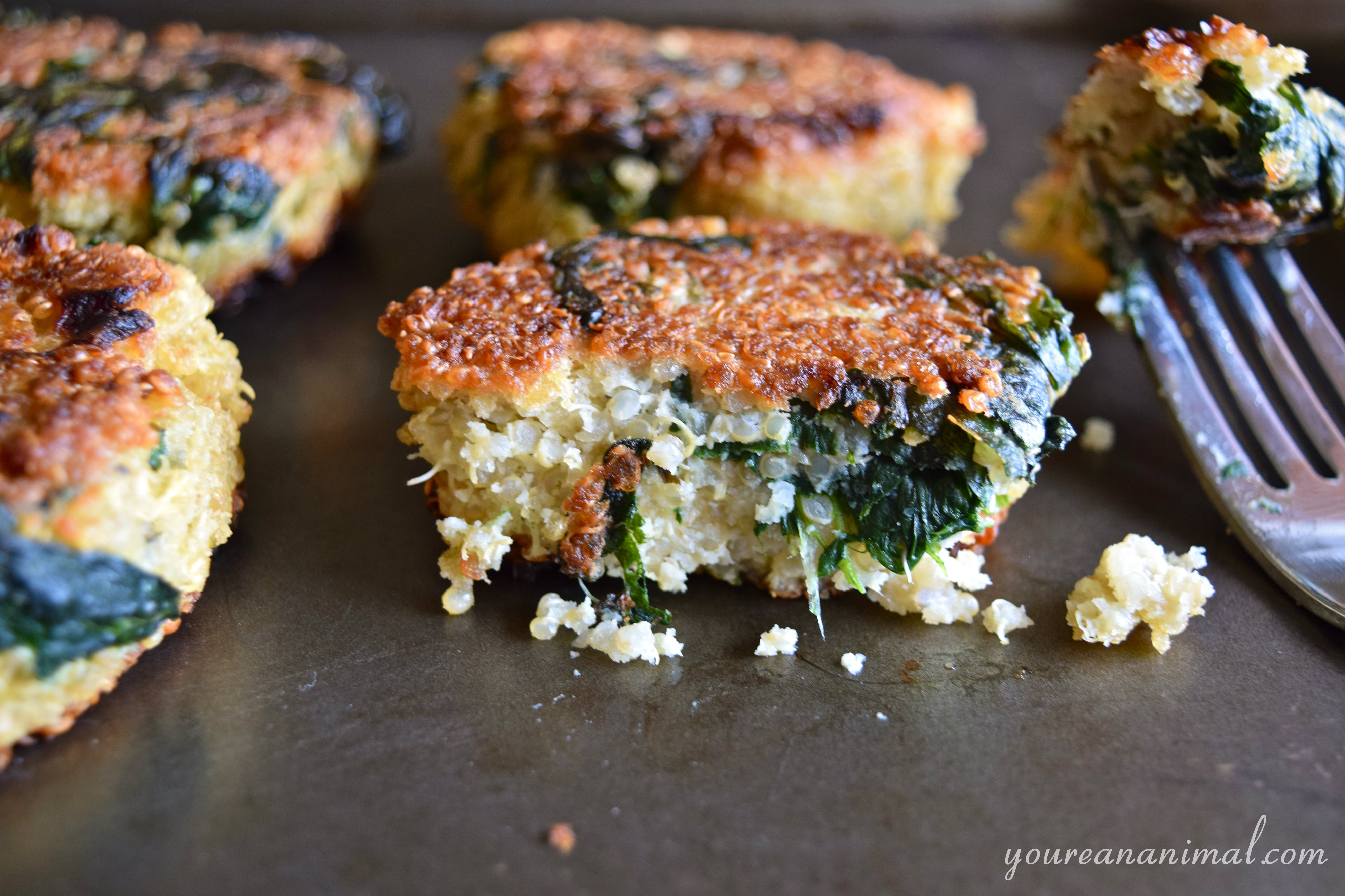 Quinoa and Spinach Patties (GlutenFree) Nourish Wild