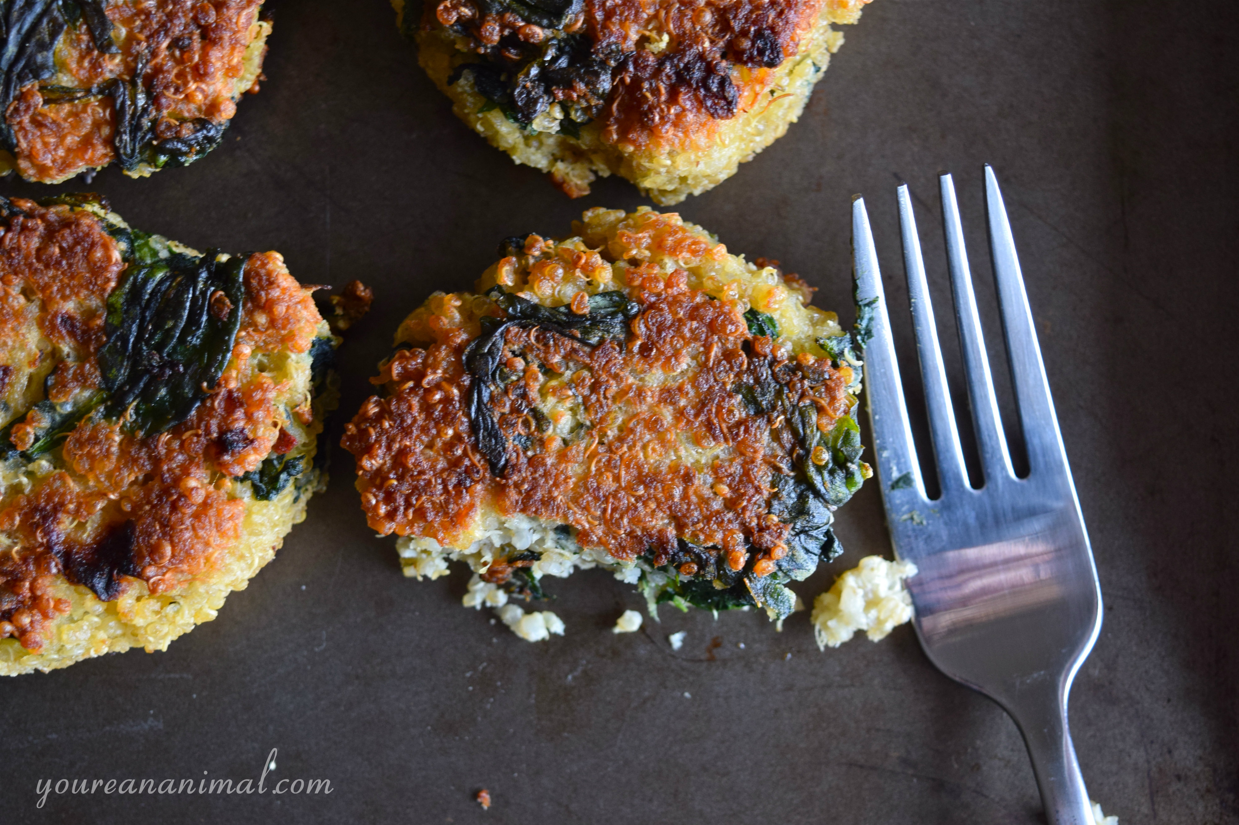 Quinoa and Spinach Patties (GlutenFree) Nourish Wild