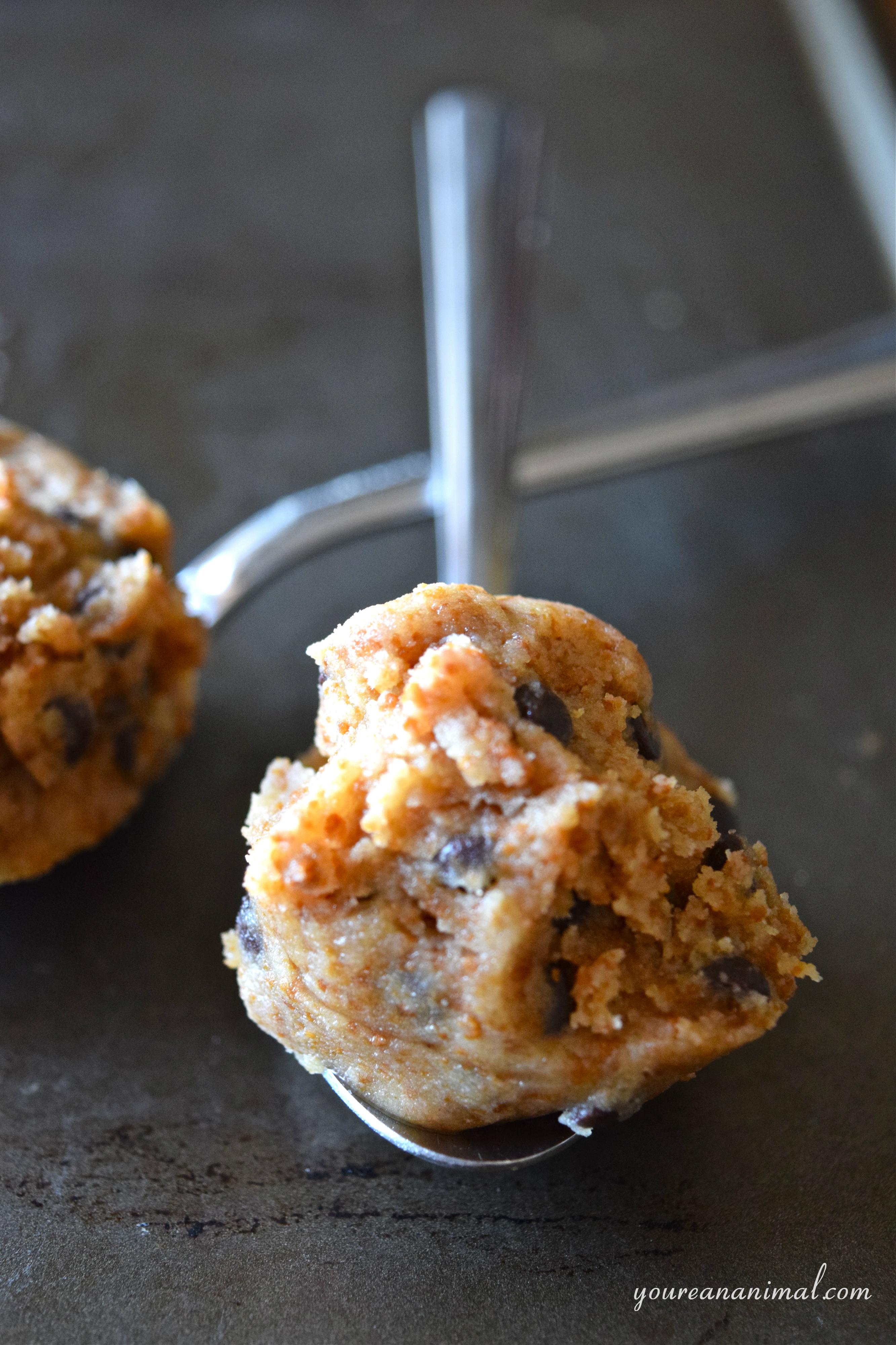 Edible Cookie Dough For Two (GlutenFree, Paleo, NutFree) You're An