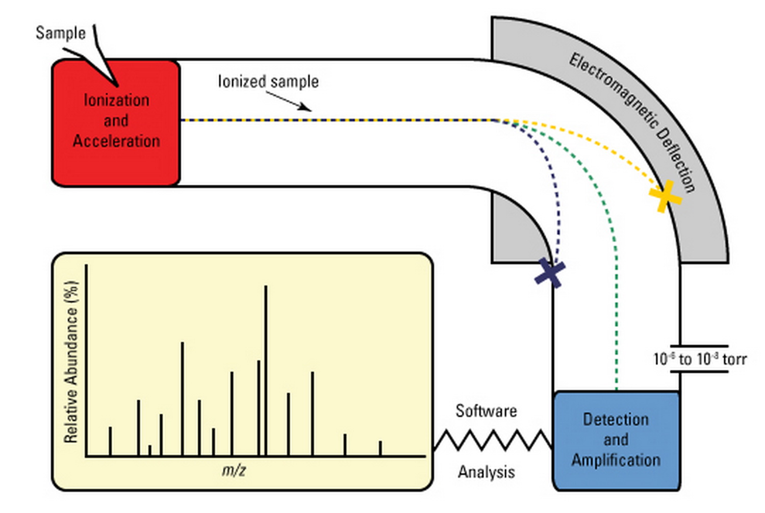 IB Chemistry SL & HL 11.3 Mass Spectroscopy
