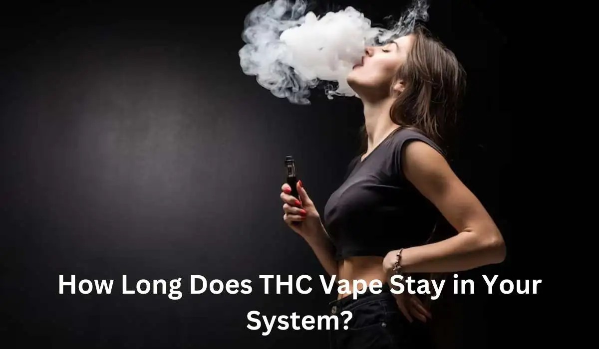 How Long Does THC Vape Stay in Your System? 🍃 (2023)