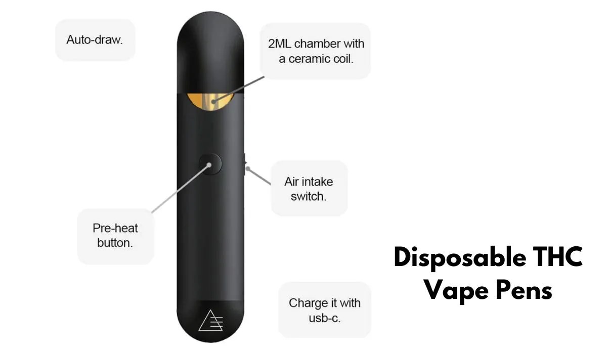 Disposable vs. Rechargeable THC Vape Pens 🍃 Your Elements