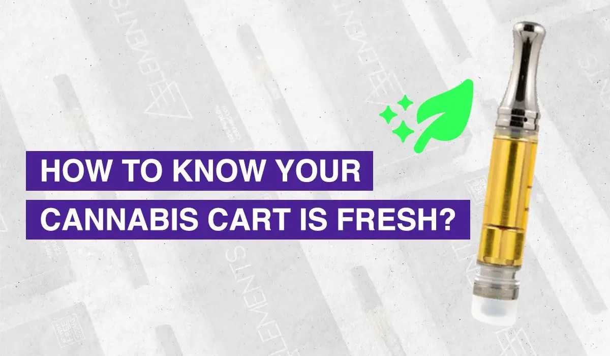 Do THC Carts Expire? 🍃 How to Tell if They've Gone Bad