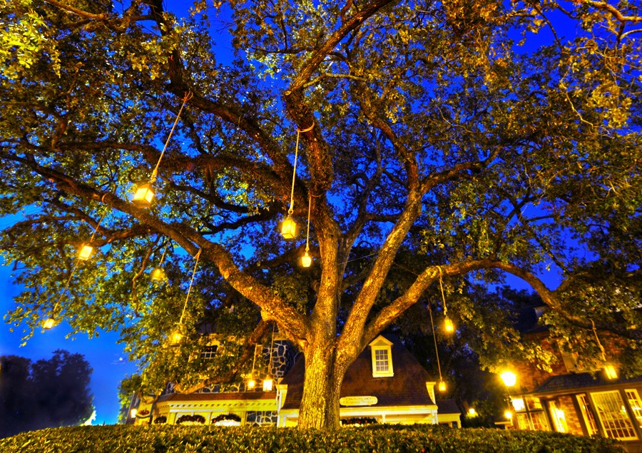 A Friday Visit with Jim Korkis The Liberty Tree
