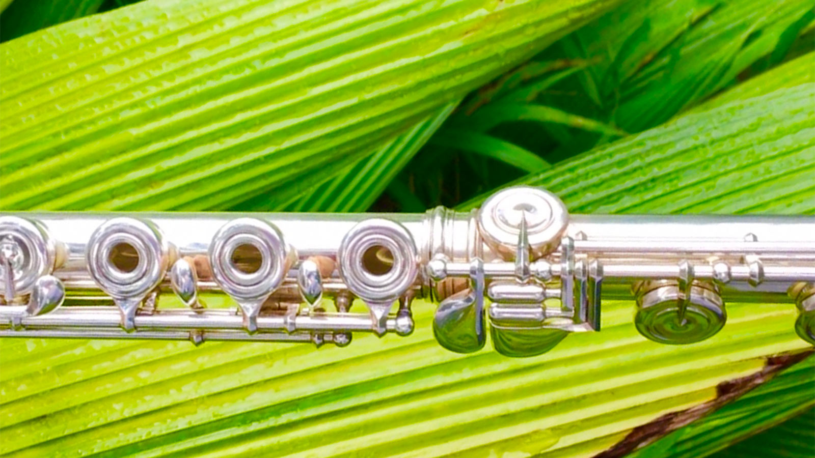 Case Repairs Your Flute Works