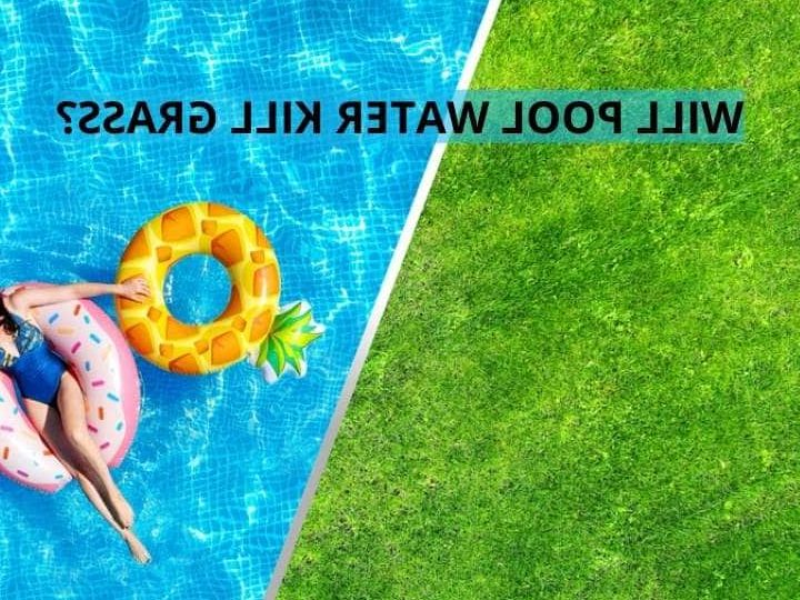 How to drain a pool without killing the grass】≡