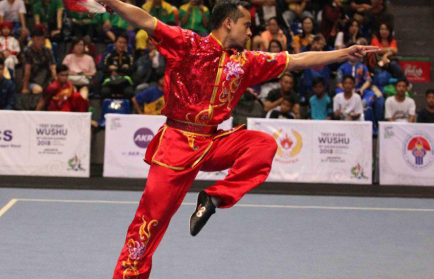 What is wushu ? It is a Chinese martial art