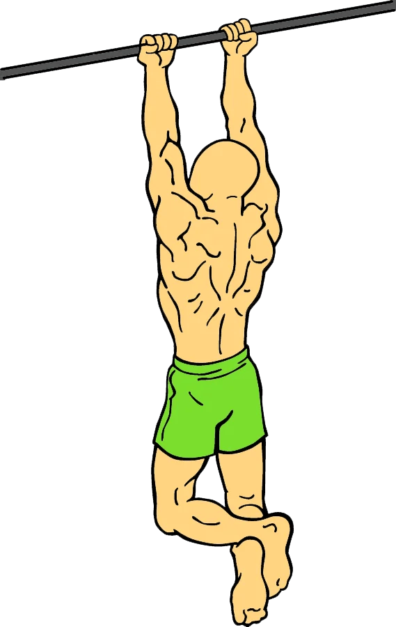 Chinups2 HEALTH & GYM GUIDE