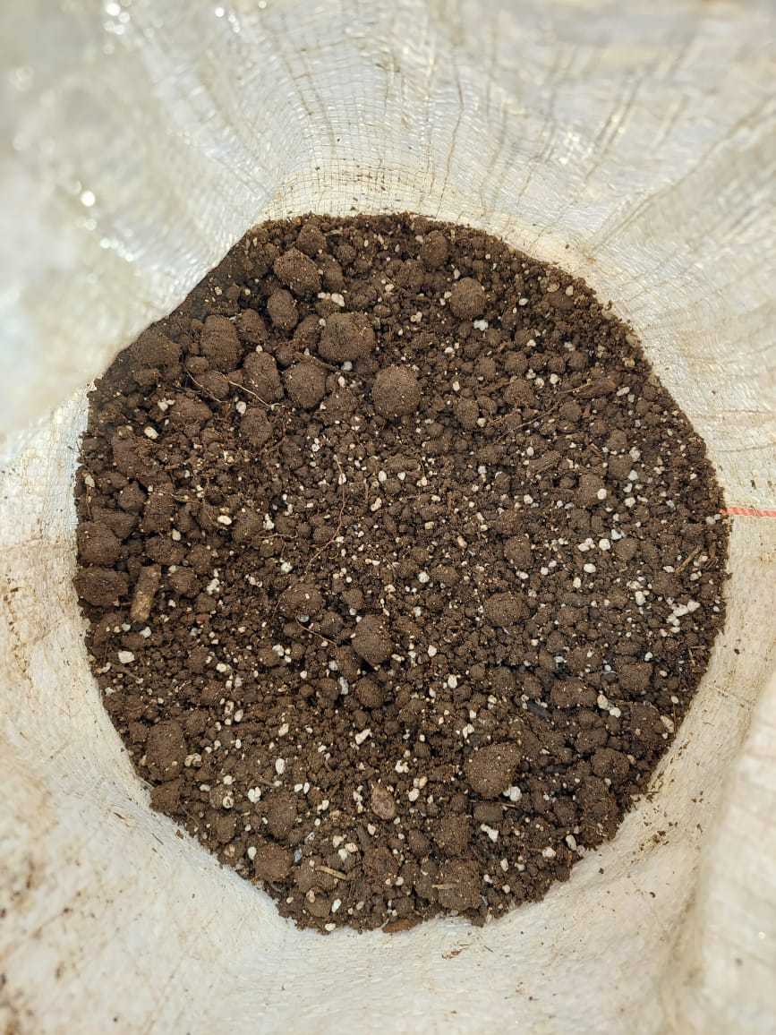 Worm Casting Perlite mix Nursery, Plants, Health & Beauty Hartbeespoort