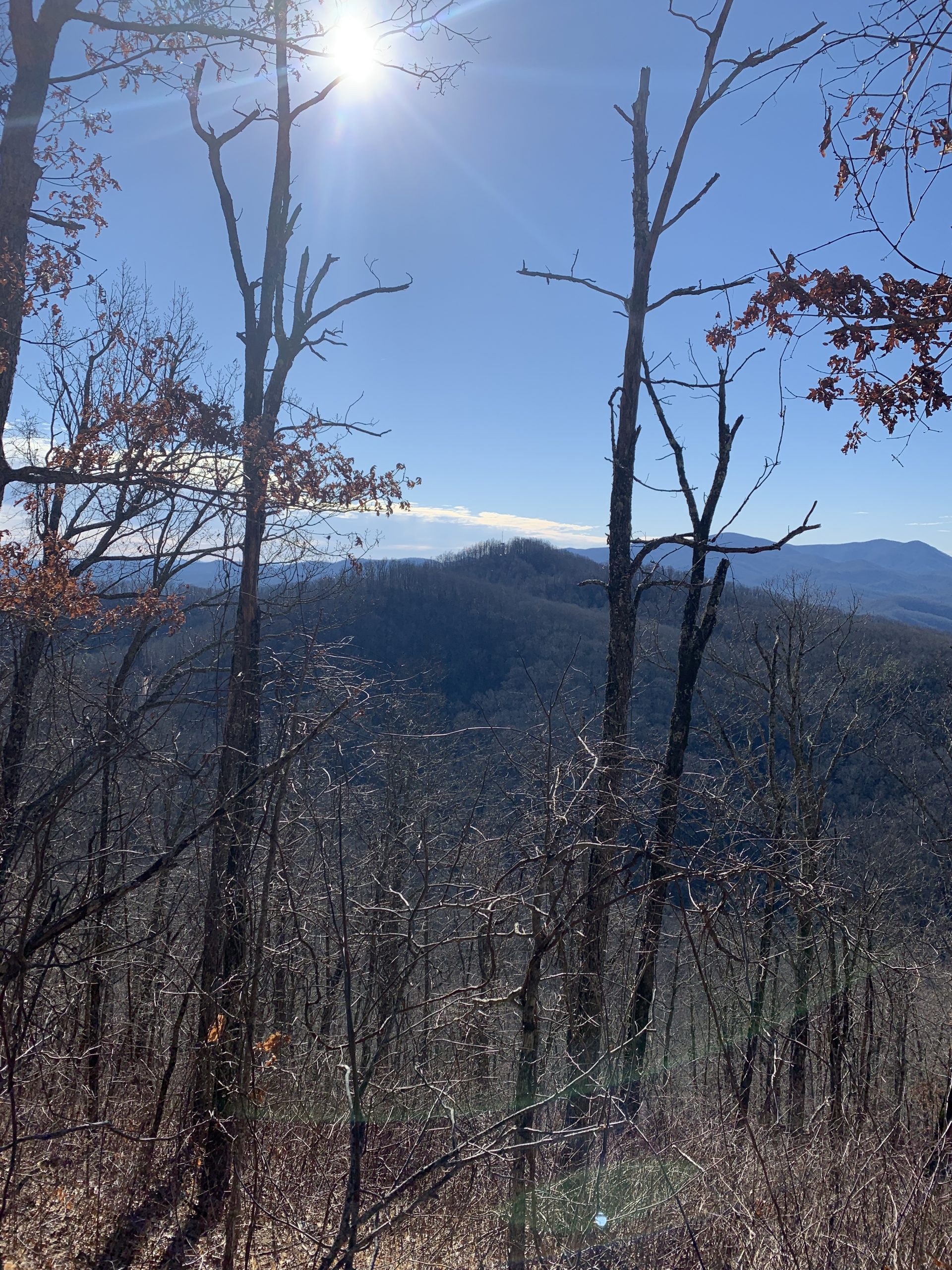 Brawley Mountain Member Hike YourHikes