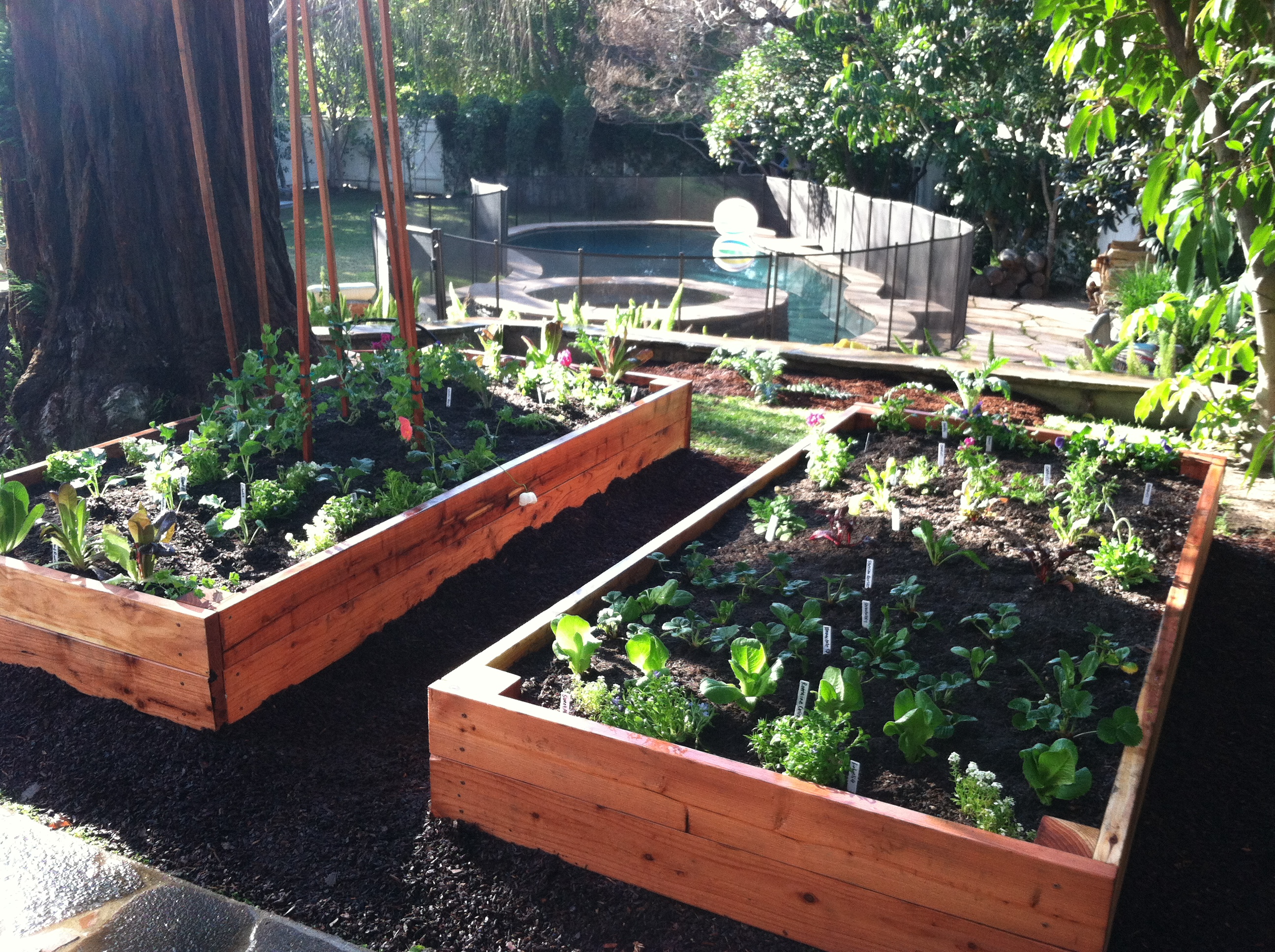 IMG_4792 Hope Gardens Hope Gardens IMG_4792 Hope Gardens This is