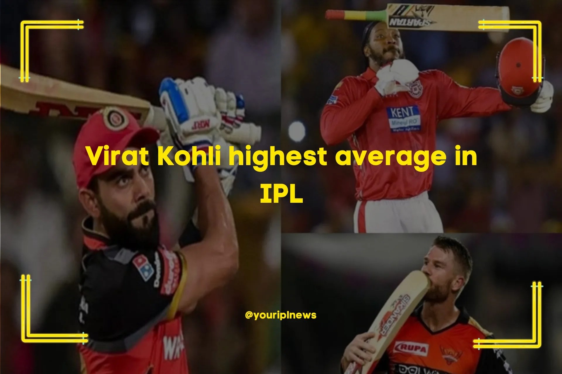 Highest Average In IPL Top 5 Players With Batting Average In IPL