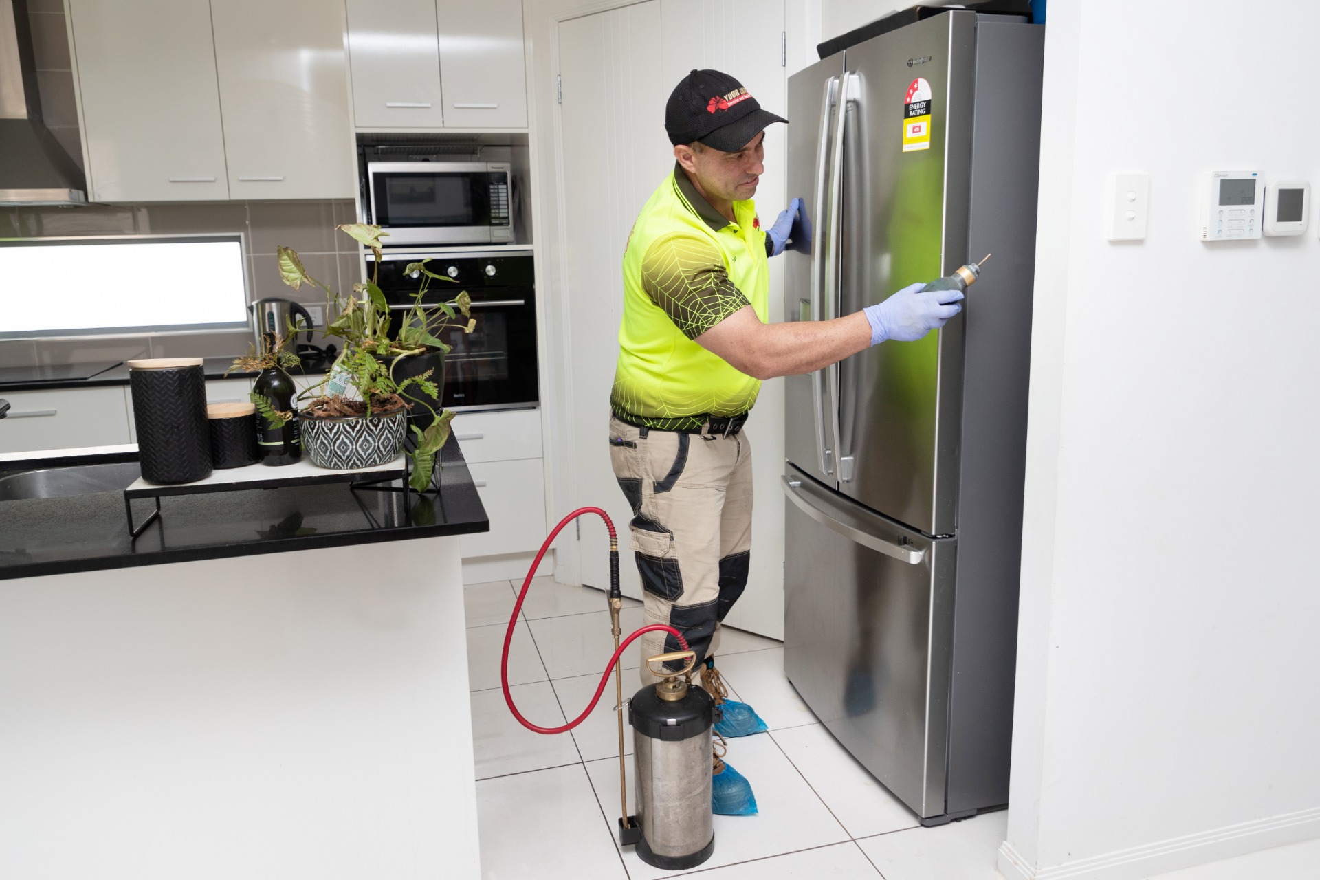 Pest Control Beenleigh, Brisbane Logan & Ipswich Pest Control