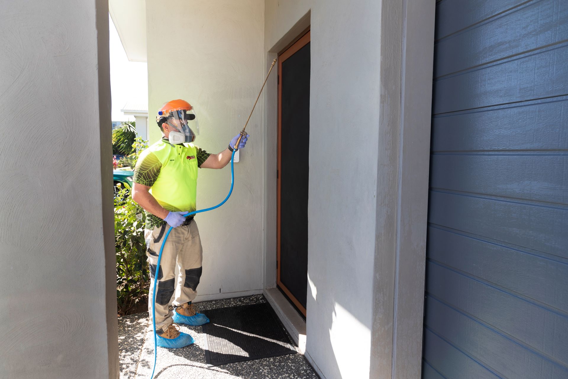 Pest Control Beenleigh, Brisbane Logan & Ipswich Pest Control