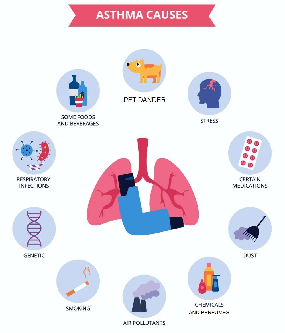 What is Asthma? Treatment options and 10 prevention tips Your Med Guide