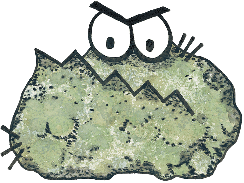 The Impact of Poor Ventilation on Mold Growth in Midwest Homes During