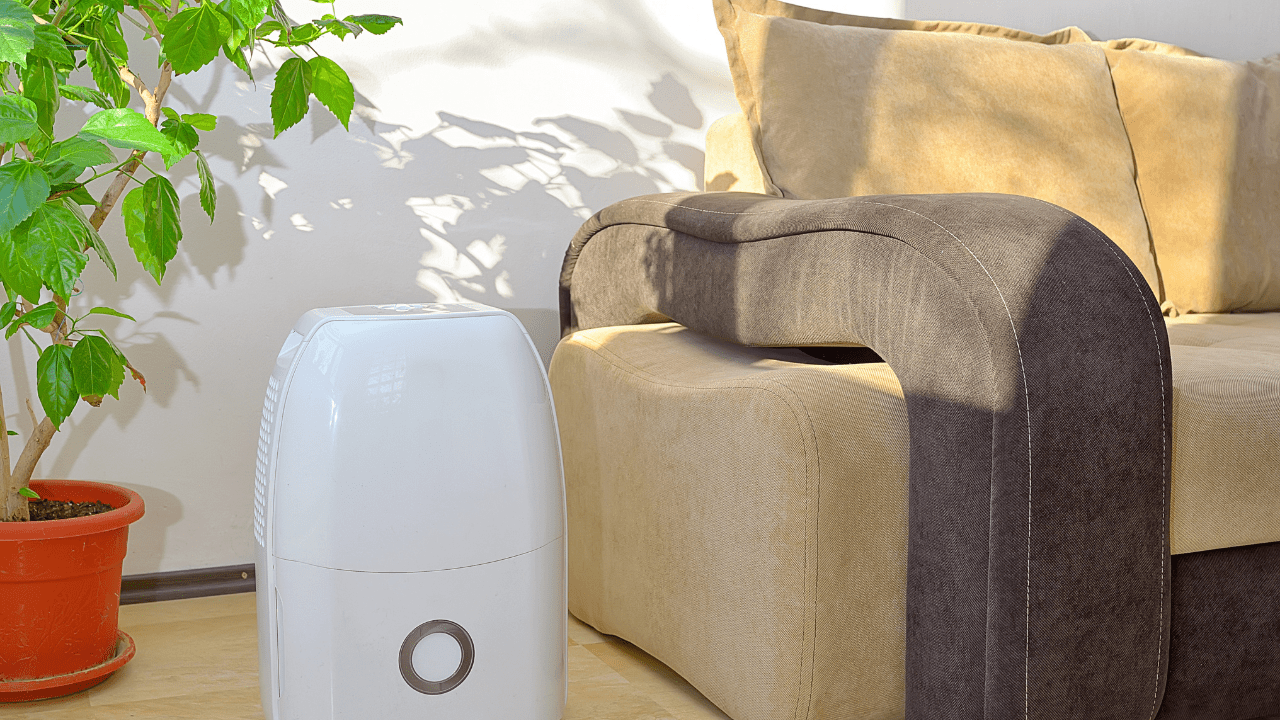 Changing Your Thermostat This Season, What to Know Mold Solutions