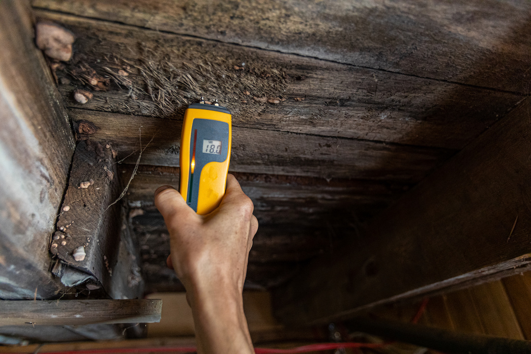 Home Inspection Reveals Mold, Now What? Mold Solutions
