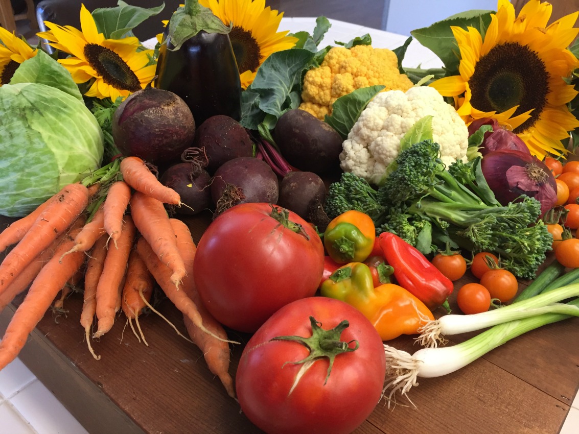 Helpful Tips for a Successful Plant Based Diet Your Mom's Vegan