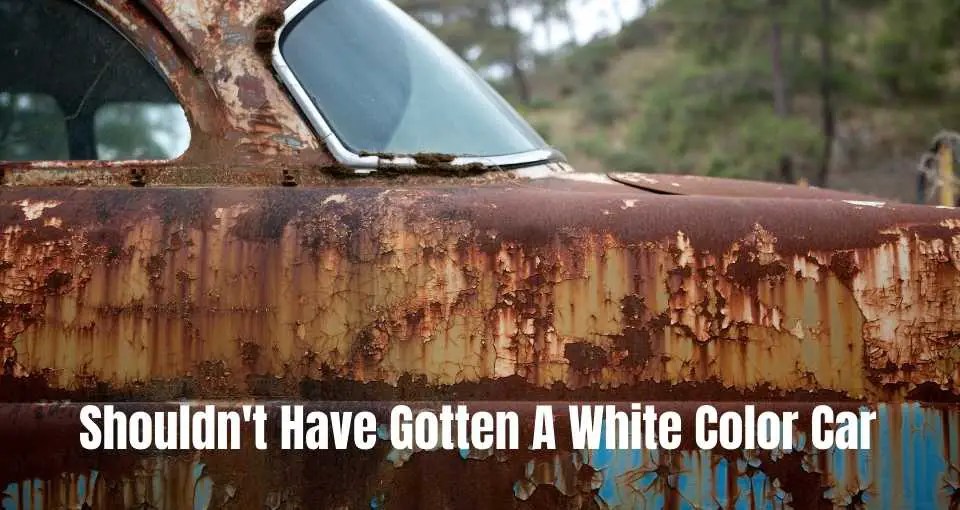 Do White Cars Rust Faster? Your Motor Fix