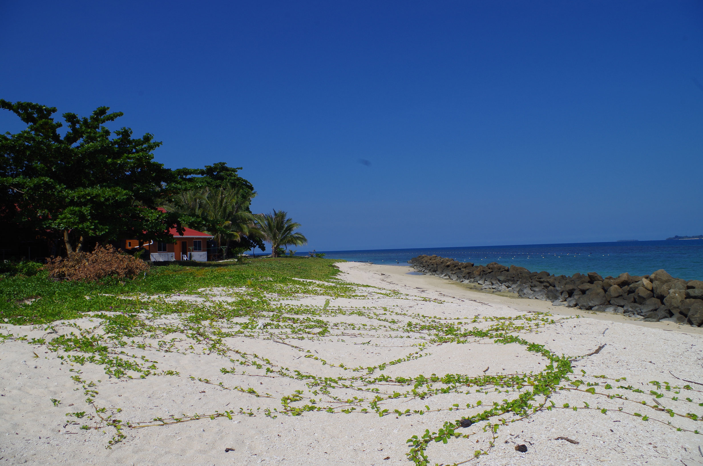 Visiting Turtle Island Yourowntrail