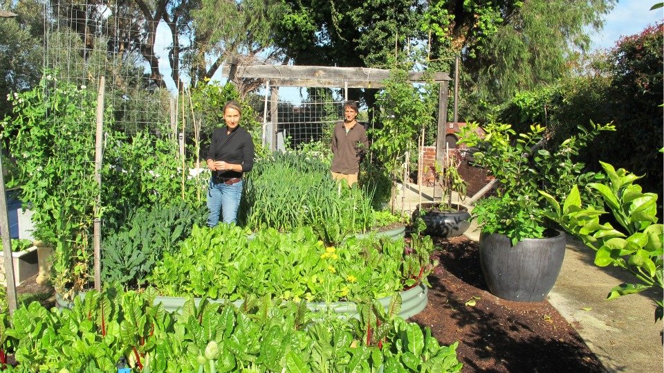 Edible Gardens Your Patch Organic Gardening Perth