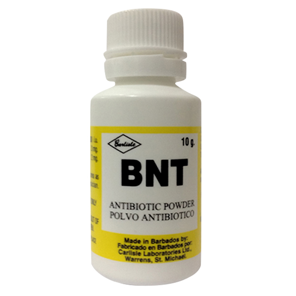 BNT POWDER 10G - The Pavilion