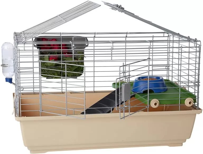 Best Syrian Hamster Cage